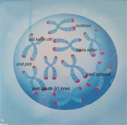 Jones, Jean Claude (JC) / and friends: Nucleous