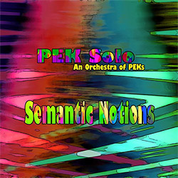 PEK Solo : Semantic Notions [3 CDs]