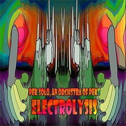 PEK Solo / An Orchestra of PEKs: Electrolysis (Evil Clown)