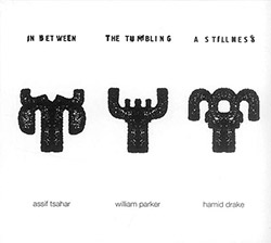 Assif Tsahar / William Parker / Hamid Drake: In Between The Tumbling A Stillness (Hopscotch Records)