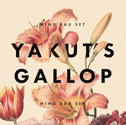 Ming Bau Set (feat Gerry Hemingway / Vera Baumann / Florestan Berset): Yakut's Gallop