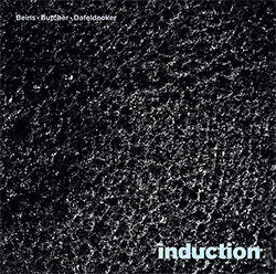 Beins, Burkhard / John Butcher / Werner Dafeldecker: induction [VINYL]