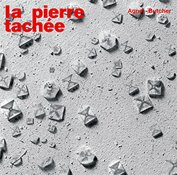 Agnel, Sophie / John Butcher: La Pierre Tachee [VINYL]