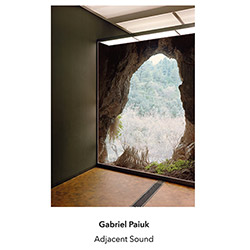 Paiuk, Gabriel: Adjacent Sound