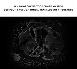 Bang, Jan / David Toop / Mark Wastell: Compound Full Of Bones, Translucent Thousands