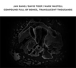 Bang, Jan / David Toop / Mark Wastell: Compound Full Of Bones, Translucent Thousands (Confront) Bang, Jan / David Toop / Mark Wastell: Compound Full Of Bones, Translucent Thousands (Confront)