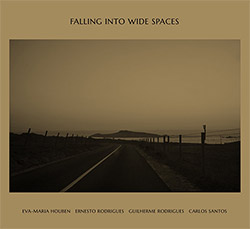 Houben / Rodrigues / Rodrigues / Santos: Falling into wide spaces (Creative Sources)