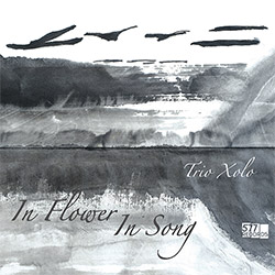 Trio Xolo (Swanson / Michaels / Naujokaitis): In Flower, In Song (577 Records)