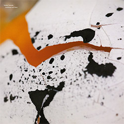 Tsunoda, Toshiya: Landscape And Voice [VINYL] (Black Truffle)