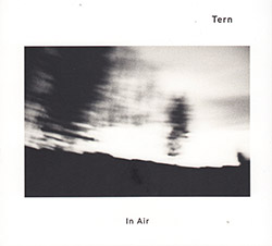 Tern (Philipp Wachsmann / Martin Hakett / Emil Karlsen): In Air