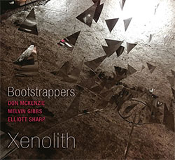 Bootstrappers (Elliott Sharp / Melvin Gibbs / Don McKenzie): Xenolith (Klanggalerie)