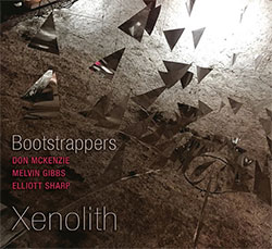 Bootstrappers (Elliott Sharp / Melvin Gibbs / Don McKenzie): Xenolith (Klanggalerie) Bootstrappers (Elliott Sharp / Melvin Gibbs / Don McKenzie): Xenolith (Klanggalerie)