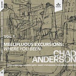 Anderson, Chad (Anderson / Smith / Stephenson / Amba / Ankhitek): Mellifluous Excursions Vol. 1 - Wh