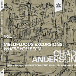 Anderson, Chad (Anderson / Smith / Stephenson / Amba / Ankhitek): Mellifluous Excursions Vol. 1 - Wh (Mahakala Music)