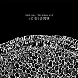 Villard, Fabrice / Pierre-Stephane Meuge: Musique Logique  <i>[Used Item]</i>