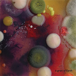 Warelis, Marta: A Grain of Earth <i>[Used Item]</i>