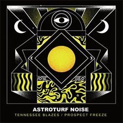 Astroturf Noise (feat Susan Alcorn): Blazing/Freezing [7-inch VINYL] (577 Records)
