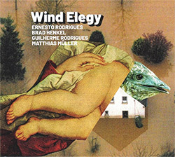 Rodrigues, Ernesto / Brad Henkel / Guilherme, Rodrigues / Matthias Muller : Wing Elegy (Creative Sources)