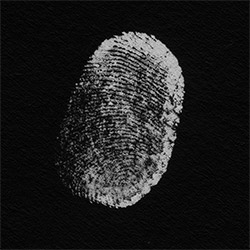 Brennan, Patricia (w/ Herrera / Cass / Gilmore): More Touch (Pyroclastic Records) Brennan, Patricia (w/ Herrera / Cass / Gilmore): More Touch (Pyroclastic Records)