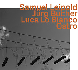 Samuel Leipold / Jurg Bucher / Luca Lo Bianco: Ostro (ezz-thetics by Hat Hut Records, Ltd)