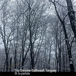 Trio Derome Guilbeault Tanguay: Si tu partais (Ambiances Magnetiques)