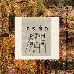 Marc Ducret: Palm Seat: Marc Ducret Plays the Music of Tim Berne (Screwgun/Out of your Head)