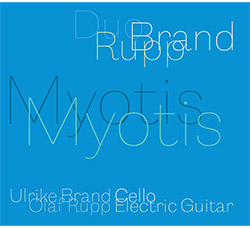 Rupp / Brand: Myotis Myotis (Creative Sources) Rupp / Brand: Myotis Myotis (Creative Sources)