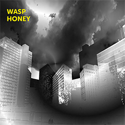 Archer, Martin (w/ John Jasnoch / Sarah Farmer / Lee Boyd Allatson): Wasp Honey (Discus)