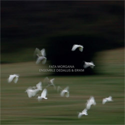 Ensemble Dedalus + eRikm: Fata Morgana <i>[Used Item]</i> (Relative Pitch)