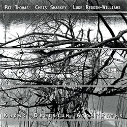 Thomas, Pat / Chris Sharkey / Luke Reddin-Williams: Know : Delirium Atom Paths (577 Records)