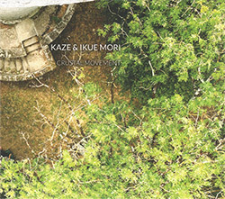 Kaze with Satoko Fujii / Natsuki Tamura / Christian Pruvost / Peter Orins & Ikue Mori: Crustal Movem