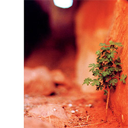 Gregg, J.J.: Re-cycling (IntangibleCat) Gregg, J.J.: Re-cycling (IntangibleCat)