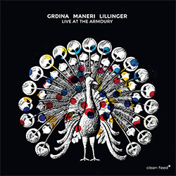 Grdina, Gordon / Mat Maneri / Christian Lillinger: Live at the Armoury