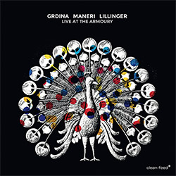 Grdina, Gordon / Mat Maneri / Christian Lillinger: Live at the Armoury (Clean Feed)