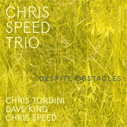 Speed, Chris Trio (w/ Chris Tordini / Dave King): Despite Obstacles (Intakt)