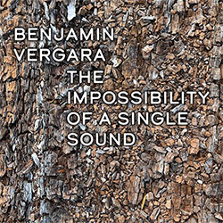 Vergara, Benjamin: The Impossibility Of A Single Sound <i>[Used Item]</i>