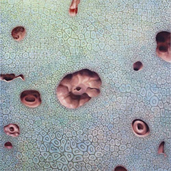 Nakamura, Toshimaru / David Lee Myers: Elements (Surface World) Nakamura, Toshimaru / David Lee Myers: Elements (Surface World)
