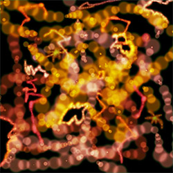 Zuckerman, Adam: STARPERMEABLE