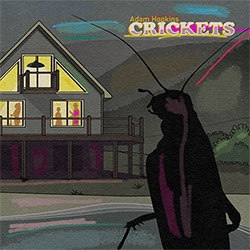 Adam Hopkins: Crickets + Grounded [VINYL 180g] (Out Of Your Head Records)