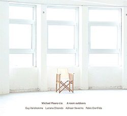 Pisaro-Liu, Michael (Guy Vandromme / Adriaan Severins / Luciana Elizondo / Fabio Gionfrida): A Room (elsewhere)