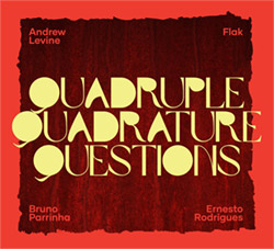 Rodrigues / Parrinha / Flak / Levine: Quadruple Quadrature Questions  <i>[Used Item]</i> (Creative Sources)