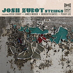 Zubot, Josh Strings: Strings (Drip Audio) Zubot, Josh Strings: Strings (Drip Audio)