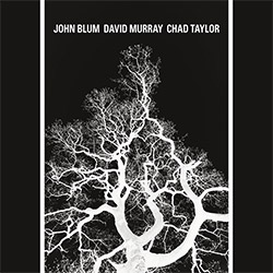 Blum, John / David Murray / Chad Taylor: The Recursive Tree (Relative Pitch)