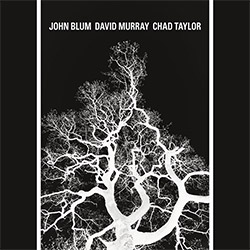 John Blum / David Murray / Chad Taylor: The Recursive Tree (Relative Pitch)