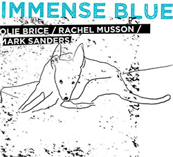 Brice, Olie / Rachel Musson / Mark Sanders: Immense Blue (West Hill Records)