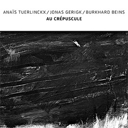 Tuerlinckx, Anais / Jonas Gerigk / Burkhard Beins: Au Crepuscle (Confront)