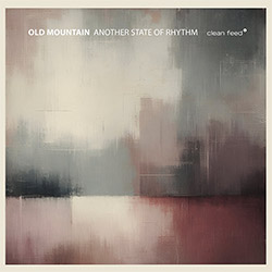 Old Mountain (feat Tony Malaby): Another State of Rhythm <i>[Used Item]</i>