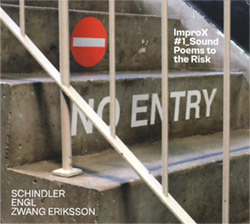 Schindler / Eriksson / Engl / Neuser: ImproX #1_Sound Poems to the Risk (Creative Sources)