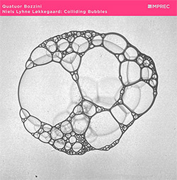 Niels Lyhne Lokkegaard  / Quatuor Bozzini: Colliding Bubbles (Surface Tension and Release) (Important Records)