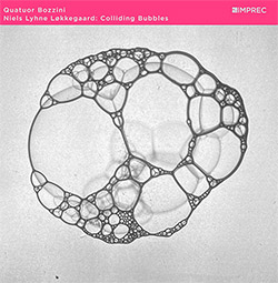 Lokkegaard, Niels Lyhne / Quatuor Bozzini: Colliding Bubbles (Important Records) Lokkegaard, Niels Lyhne / Quatuor Bozzini: Colliding Bubbles (Important Records)